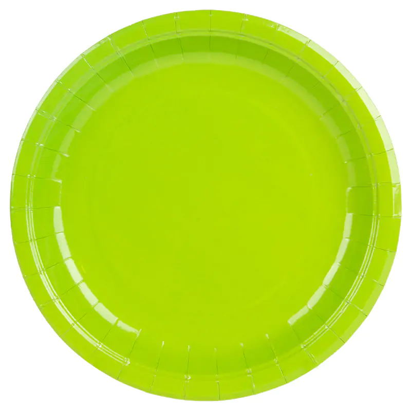 Pastel Light Green Paper Plate